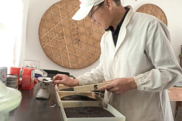 炒股配资开户知识网 池州东至：“花香祁红”香飘长三角_大皖新闻 | 安徽网